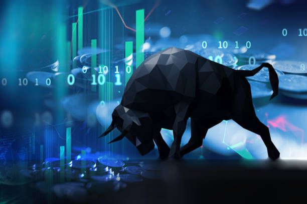 bull